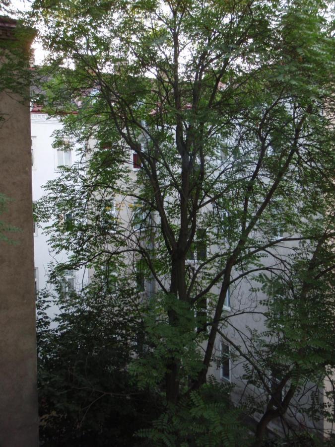 Augartenblick Penthaus 17 - Blick Zum Riesenrad Bécs Kültér fotó